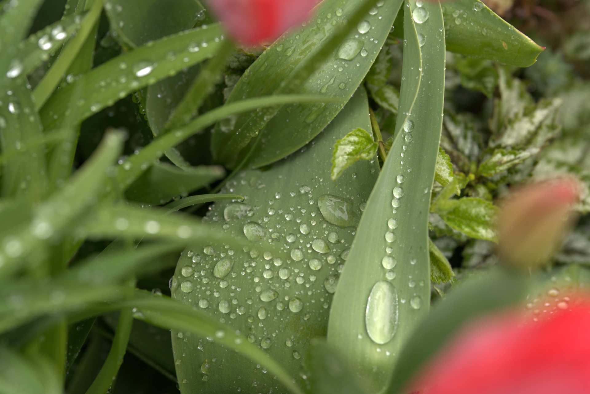 DSC00568--2- DSC00568--2-