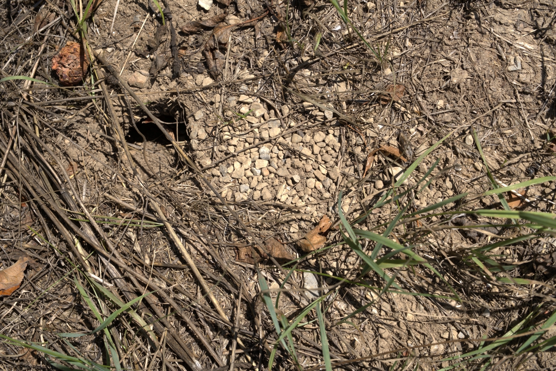 DSC07344 (2) DSC07344 (2)