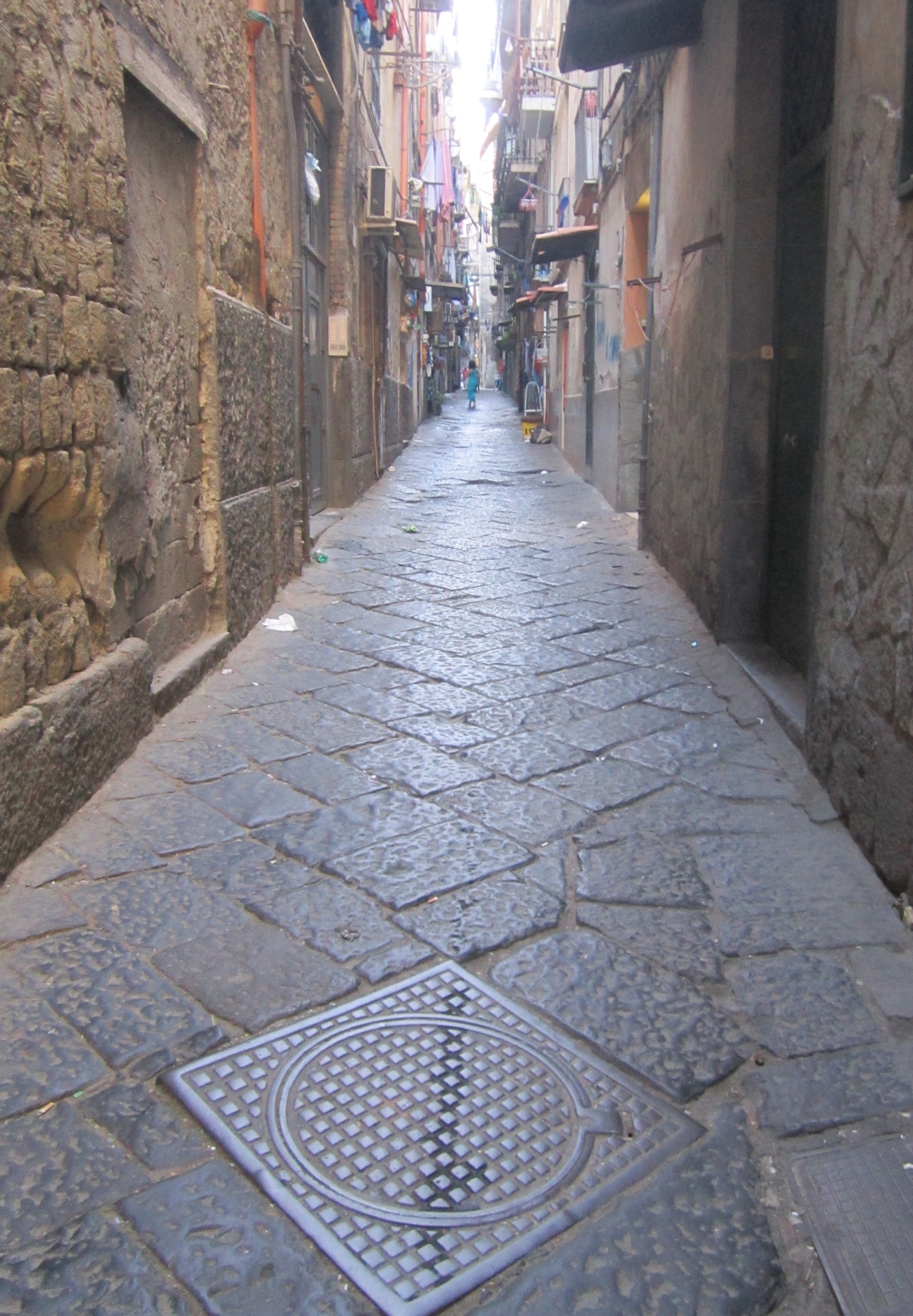 IMG_5431 a IMG_5431 a